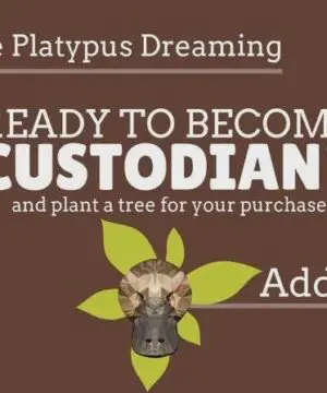 Ocean Jasper Bracelet Talisman, Australian handmade crystal healing jewellery, natural stone bracelet