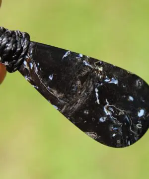 Elven Petrify Palmwood Pendant, Petrified Fossil Birds Eye Palm Root Necklace, Healing Jewelry, Australian handmade tropical cord