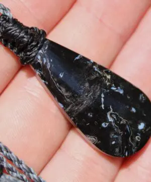 Elven Petrify Palmwood Pendant, Petrified Fossil Birds Eye Palm Root Necklace, Healing Jewelry, Australian handmade tropical cord