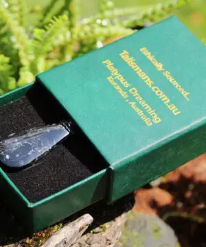 Elven Petrify Palmwood Pendant, Petrified Fossil Birds Eye Palm Root Necklace, Healing Jewelry, Australian handmade tropical cord