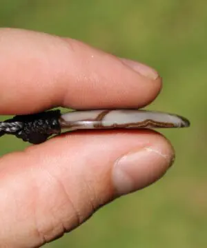 Australian outback jasper necklace,australian made thin macrame cord stone jewelry, crystal healing pendant necklace, platypus dreaming