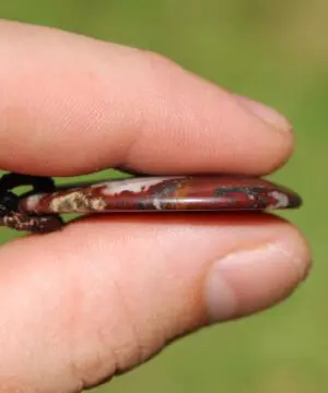 Australian Outback Jasper Necklace • Healing Crystal Pendant • Tribal Stone Jewelry • Australian Handmade Thin Macrame Tropical Cord