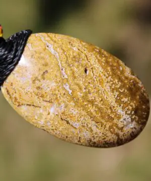 Agate Creek Jasper Talisman, Australian HandMade handwoven tropical cord crystal healing Pendant Talisman, Black Yellow Red