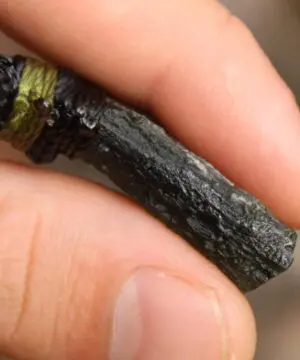 Green Authentic Moldavite Pendant,Platypus Dreaming Genuine Moldavite Necklace,Australian handmade Tropical cord, Elven Crystal jewelry