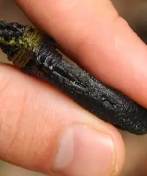 HUGE Genuine MOLDAVITE Necklace,Platypus Dreaming Arrow Head DoubleSide Crystal Authentic Raw Moldavite Pendant,Australian made Macrame Cord