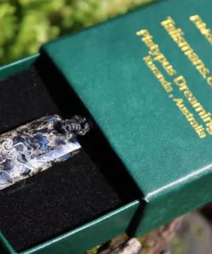 Elven Petrified Palmwood Pendant • Birds Eye Palm Root Necklace • Fossil Talisman • Australian Handmade • Handwoven Tropical Cord