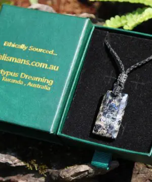 Elven Petrified Palmwood Pendant • Birds Eye Palm Root Necklace • Fossil Talisman • Australian Handmade • Handwoven Tropical Cord