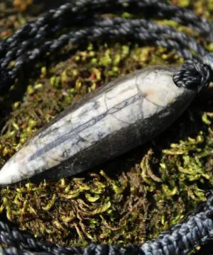 Orthoceras Necklace • Fossil Pendant • Ancient Sea Creature Talisman • Australian Handmade • Tropical Macrame Cord
