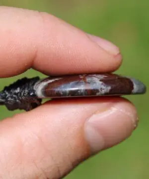 Australian Outback Jasper Pendant Necklace • Australian Handmade Handwoven Tropical Cord • Earthy Tribal Healing Stone Jewelry