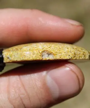 Agate Creek Jasper Talisman, Australian HandMade handwoven tropical cord crystal healing Pendant Talisman, Black Yellow Red